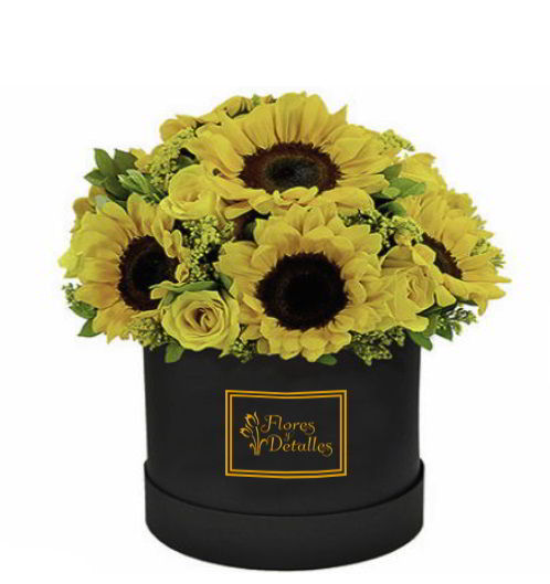 Arreglo para Hombres 09